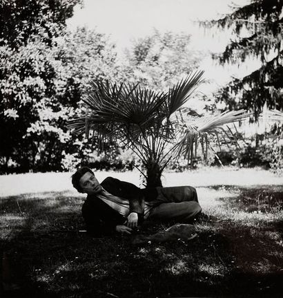 Dora MAAR Dora MAAR, 1907-1997

André Breton allongé devant un palmier à l'hôtel...