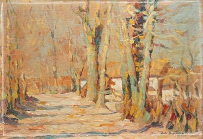 Abel BERTRAM Abel BERTRAM, 1871-1954

L'allée d'arbres

huile sur panneau double...