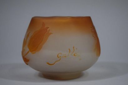 Etablissements Gallé (1904-1936)

Vase élevé...