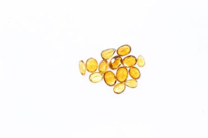null Set of fourteen oval citrines or pears on paper. 

Weight: approx. 25.75 cts....