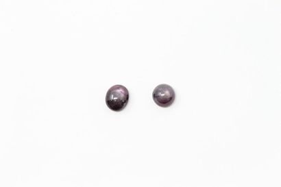 null Set of two cabochon star rubies on paper. 

Weight: approx. 20.45 cts. 