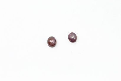 null Set of two cabochon star rubies on paper. 

Weight: approx. 19.10 cts. 