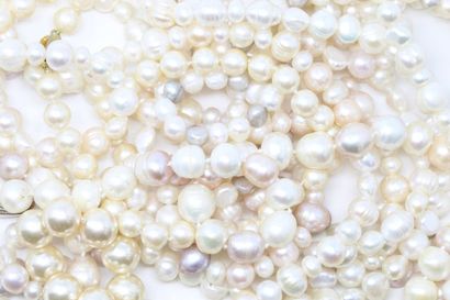 null Lot de colliers comprenant : 

- Collier ras-le-cou de perles baroques blanches...