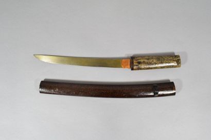 null JAPAN, 20th century

Tanto in his lacquered sheath, lacks 

Total length: 49...
