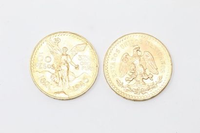 Two 50 pesos gold coins

APC to SUP. 

Weight:...