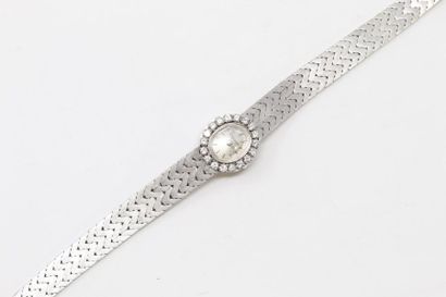 null Montre bracelet de dame, boîtier ovale en or gris 18k (750), cadran à fond gris...