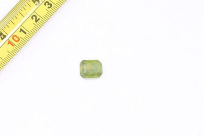 null Rectangular green sapphire with cut edges on paper. 

Weight: approx. 7.20 cts....