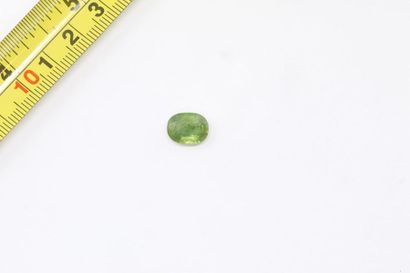 null Oval green sapphire on paper. 

Weight: approx. 4.70 cts. 