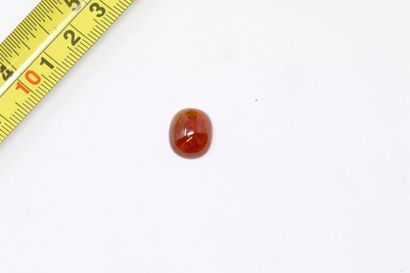 null Spessartite garnet cabochon on paper. 

Weight: approx. 10.05 cts. 