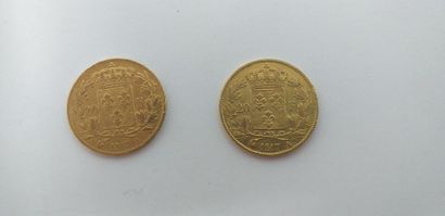 null Lot of 2 gold coins of 20 francs Louis XVIII, 1817 A.

Weight : 12.9 g. 