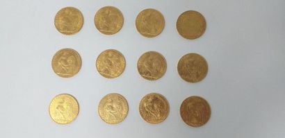 Lot of 12 gold coins of 20 francs Rooster,

Weight:...