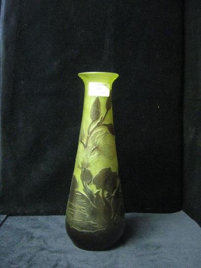 GALLE Émile (1846 -1904) Vase piriforme allongé. Épreuve de tirage industriel réalisée...