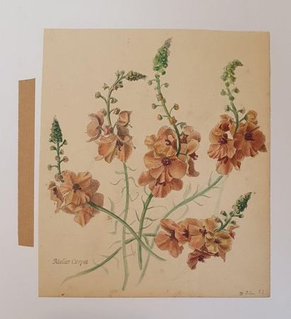 null CORPET Etienne (Attribué à) (1831-1903), 

composition florale

dessin à l'aquarelle...