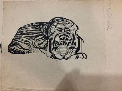 null FESNEAU Auguste Henri (1873-?)

Lot de quatre études de félins:



Tigre allongé...