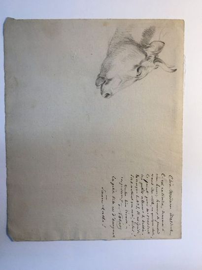 null OMMEGANCK Balthazar Paul (1755-1826), attribuée à

Etude de tête de vache 

Crayon...