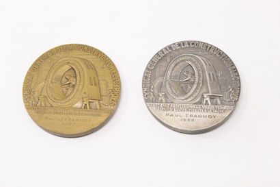null Lot de deux médailles en bronze du syndicat général de la construction électrique....