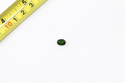 null Faceted oval green tourmaline. 

Probably unheated and Mozambique. 

Weight:...