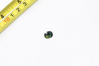 null Two-tone (yellow & blue) oval sapphire.

Probably unheated. 

Weight: approx....