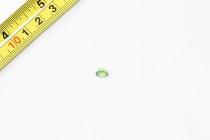 null Green Tourmaline 

Probably unheated.

Weight: approx. 1.45 ct. 

A metal frame...