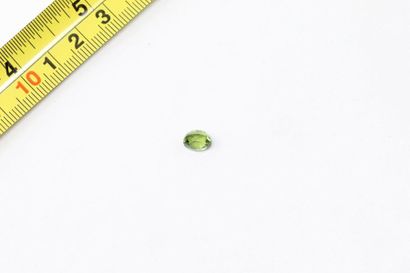null Faceted oval green tourmaline.

Probably unheated and Mozambique. 

Weight:...