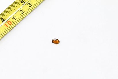 null Oval orange tourmaline. 

Probably unheated and Mozambique. 

Weight: approx....