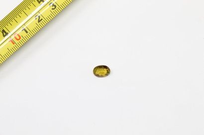null Oval yellow tourmaline on paper. 

Weight: 2.10 cts. 