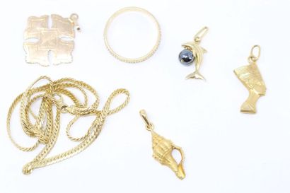 null Lot de pendentifs (Nefertiti, dauphin, conque, croix), collier et alliance en...