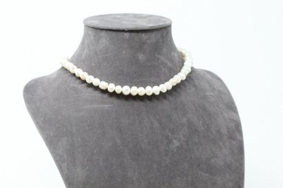 null Baroque pearl necklace, silver clasp. 

Neck size: 39 cm. - Gross weight : 38.47...