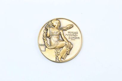 null Jean Vernon

médaille en bronze à patine doré représentant une femme assise...