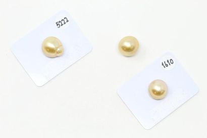 null Set of 3 undrilled gold cultured pearls, one of which is circled.