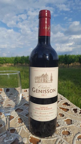 null Lot de 3 caisses de 12 bouteilles Château Génisson Côtes de Bordeaux rouge,...