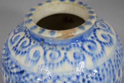 null IRAN, XIXème siècle

Vase en céramique émaillé bleu sur fond blanc à décor de...