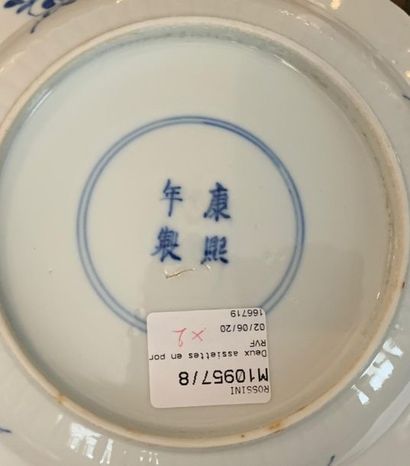 null CHINE, XIXème siècle

Paire d'assiettes en porcelaine décorée en bleu sous couverte...