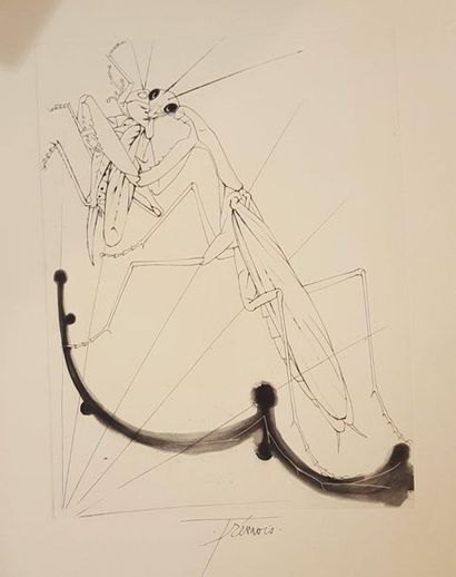 null TREMOIS Pierre-Yves (né en 1921)

Insecte

gravure

Déchirures et traces de...