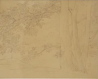 null LANCRENON Joseph Ferdinand (1794-1874)

Set of 4 drawings



Foliage,

pencil...