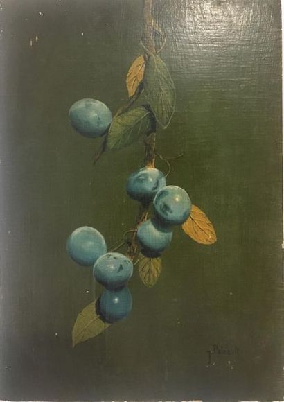 null PAIRAULT J. (XXe siècle)

Prunes, 

huile sur panneau

27x60 cm









