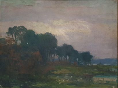 null ZEZZOS Georges (1883-1959) 

Landscape with trees

Oil on unsigned cardboard

shop...