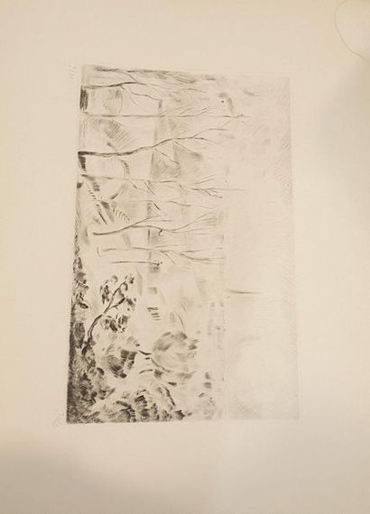 null KENNEDY David (contemporary artist)

set of five numbered etchings and aquatints...