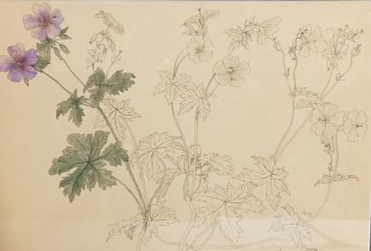 null Jean ROUPPERT (1887-1979)

Geraniums 1921 

Study for Galileo.

H.: 38 cm. -...