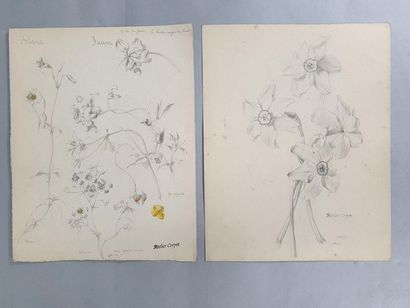 null CORPET Charles Étienne (1831-1903)

Fleurs 

Ensemble de 7 études de fleurs...