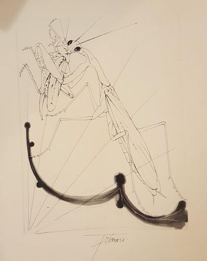 TREMOIS Pierre-Yves (né en 1921)

Insecte

gravure

Déchirures...