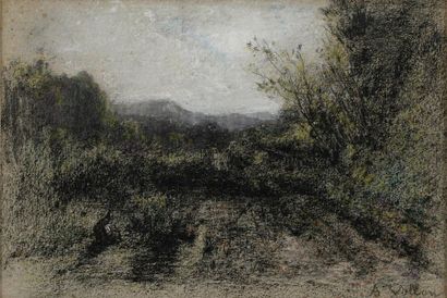 null VOLLON Antoine, 1833-1900

Jardin devant la montagne

fusain sur papier gris...