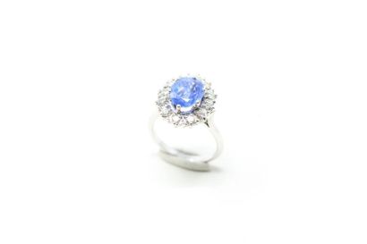 null 18k (750) white gold daisy ring set with an oval sapphire in an entourage of...