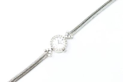 null Montre bracelet de dame en or gris 18K (750) et diamants. Lunette et anses serties...