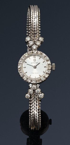 null Ladies' bracelet watch in 18K (750) white gold and diamonds. Bezel and handles...