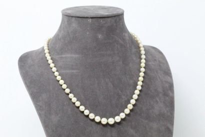 null Falling pearl necklace. 18k (750) white gold and platinum clasp adorned with...