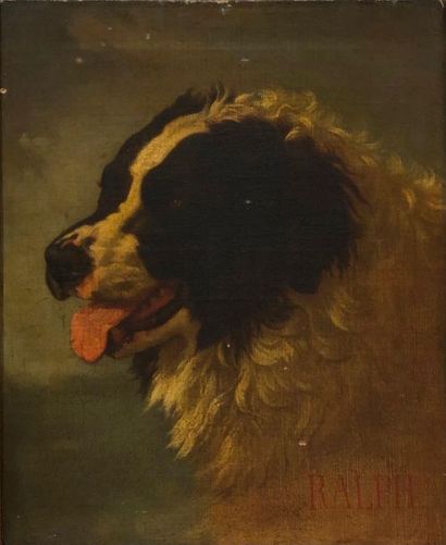 null ANONYME, fin XIXe début XXe siècle,

Le chien Ralph,

huile sur toile (craquelures,...