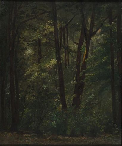 null WOLLHEIM Gert, 1894-1974

Trees in the forest

oil on canvas mounted on panel...