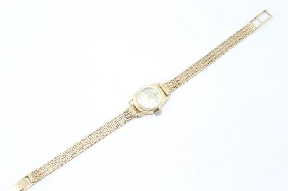 null Montre bracelet de dame, boîtier ovale en or jaune 18k (750), cadran à fond...