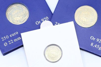 null MONNAIE DE PARIS Euros en or :

- 2 x 250 Euros (920/1000) République Française....
